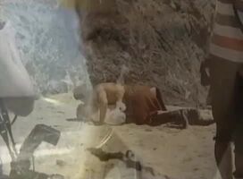 Jenna Jameson's first 