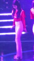 Red Velvet - Irene Butt