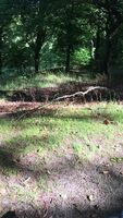 asturbating in the park, people unknowingly walking by. Pms welcome!