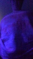 Bluebies.