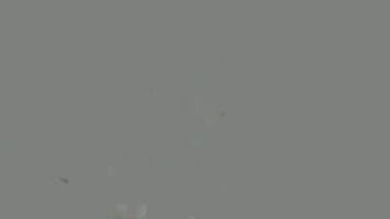 Big Ass GIF by kddssag