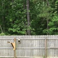 Look at this dumb fat fuck get taught a lesson.