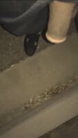 If this video gets enough upvotes I will record another one walking around with a massive, veiny erection.