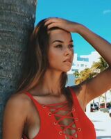 Nicola Cavanis