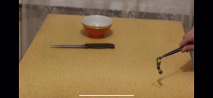 Russian man basically creates a new species, then smashes it when it’s spits at him