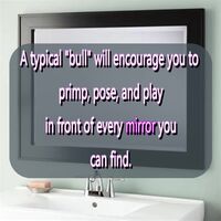 Why mirrors are so alluring...