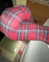Calita Sweetz