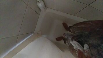 I love hot showers