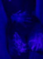 Quarantine has me feeling...creative. 👀🍆✨ {F/20}
