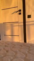 Your roomate decides to pay you a visit